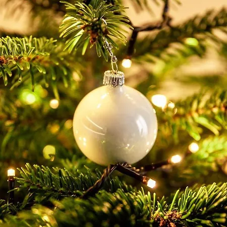 Bimba & Free Parking Daire