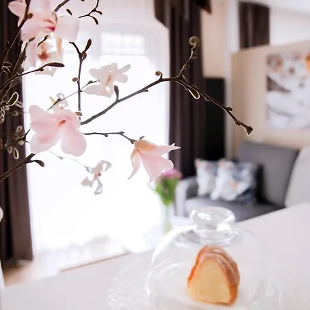 Bimba & Free Parking Poznan