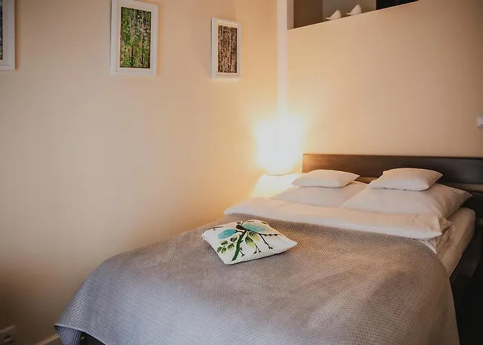 Bimba & Free Parking * Poznań