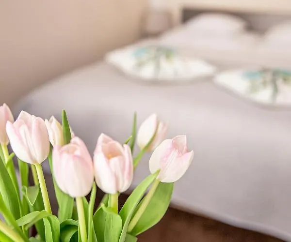 Bimba & Free Parking Lejlighed Poznań