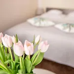 Bimba & Free Parking Apartment Posen