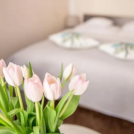 Bimba & Free Parking Lägenhet Poznań