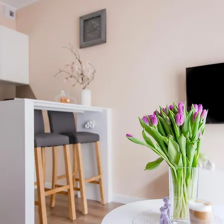 Апартаменты Apartament Bimba & Parking