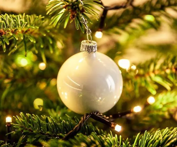 Bimba & Free Parking Lägenhet