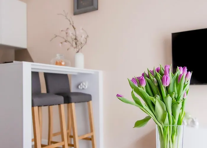 Apartment Bimba & Free Parking